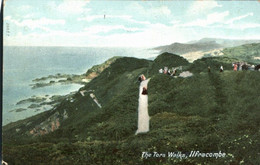 Ilfracombe The Tors Walks , 1904 , Devon - Ilfracombe