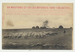Carte -99 MOUTONS ET UN CHAMPENOIS FONT 100 BETES;;;; - Champagne-Ardenne