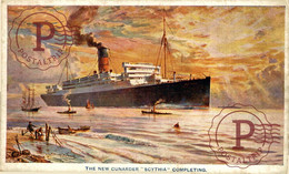 RMS SCYTHIA  PUBLI  AGENCY A W GLASS WELLINGTON  CUNARD WHITE STAR LINE SHIP BATEAU - Steamers