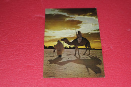 Libia Libya Tripoli Bengasi Camel Driver 1989 - Libia