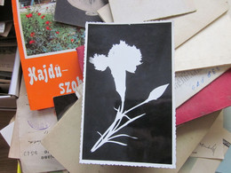 Silhouettes Of Black And White Flowers, Surrealism Old Photo Postcard - Silhouettes