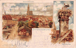 STRASBOURG-STRASSBURG-67-Bas-Rhin-Cathédrale-Nid De Cigogne-Dessin-Illustrateur-Dessin-Dessinée Signée C.Münch - Straatsburg