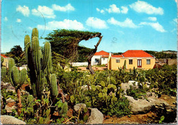 (2 F 20) Aruba - Posted To Australia 1980 - Country House - Aruba