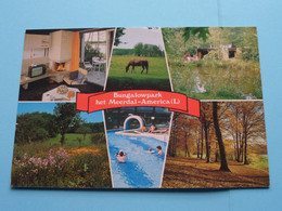 Het MEERDAL Bungalowpark Te AMERICA (Limburg) Anno 1987 ( Zie / Voir Scan ) ! - Horst