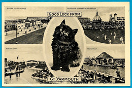 CPA Multivues Post Card UK Norfolk GOOD LUCK FROM GT. (Great) YARMOUTH * Chat Noir Black Cat - Great Yarmouth