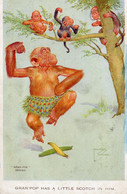 GRAN POP HAS A LITTLE SCOTCH IN HIM OLD COLOUR POSTCARD VALENTINE LAWSON WOOD ARTIST SIGNED  NO 2029 MONKEYS - Wood, Lawson