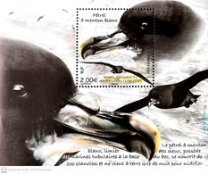 2022-01- TAAF- FSAT-  BIRDS PETREL                1V      MNH** - Antarctische Fauna