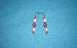 Boucles D'oreilles Pour Indianiste ! Collection ! (2) - Earrings