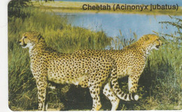 Namibia, NMB-009,  Cheetah - Acinonyx Jubatus (NAEI - Dashed Zero), 2 Scans - Namibia