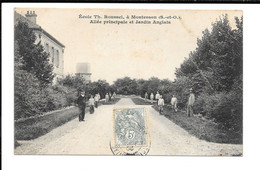 Montessin (S.-et-O.). Ecole Th. Roussel, - Allée Principale Et Jardin Anglais - Montesson