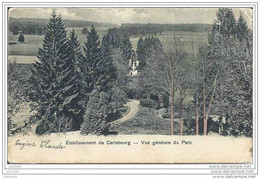 CARLSBOURG ..--  Parc . Vers BRAS , BENONCHAMPS ( Mr Alphonse JACQUES ) .  Voir Verso . Envoi Eugène CLAUDE . - Paliseul