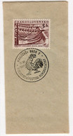 Promotional Occasional Postmark - Havlíčkův Brod 2 - National Festival Of Humor And Satire - Hens - Energy - Mechanical Postmarks (Advertisement)