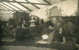 Horticulture - Fleurs - Chrysanthèmes - Paris ? - Exposition - Carte Photo - Dép 92 - Saint Cloud - Bon état - Andere & Zonder Classificatie