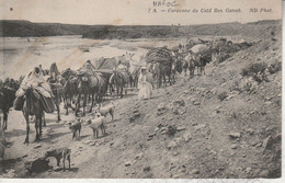 Maroc - Caravane Du CaÏd Ben Ganah - Unclassified