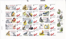 Andre Buzin Birds DUOSTAMPS Full SHEET Spab 2010 RRR - 1985-.. Birds (Buzin)