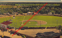 Payne Park - Spring Training Quarters Of Boston Red Sox - Sarasota Florida United States - Baseball - Sarasota