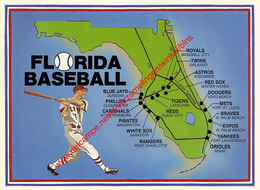 Florida Baseball - Baseball