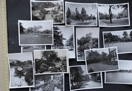 Bournemouth Wyborne? Park/Garden/Cemetry Scenes/ 14 Photos Ca. 1950 - Places