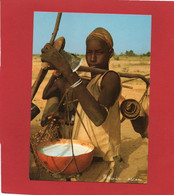 NIGER----Berger PEULH De TALCHO--voir 2 Scans - Niger