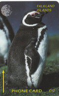 FALKLAND ISLANDS (MALVINAS). FLK-1B. Jackass Penguin. 40000 Ex. (019) - Falkland