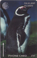 FALKLAND ISLANDS (MALVINAS). FLK-6A. Jackass Penguin (Reprint). 30000 Ex. (011) - Falkland Islands