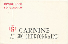 BU 2395 /   BUVARD  CARNINE AU SUC EMBRYONNAIRE     (19,50 Cm X 13,00 Cm) - Produits Pharmaceutiques