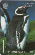 FALKLAND ISLANDS (MALVINAS). FLK-184B. Jackass Penguin (Reprint). 10000 Ex. (010) - Falklandeilanden