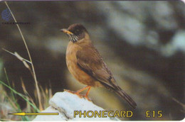 FALKLAND ISLANDS (MALVINAS). FLK-339C. Falklands Thrush. 10000 Ex. (005) - Islas Malvinas