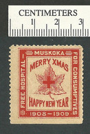 B67-60 CANADA 1908-1909 Muskoka Red Cross Hospital Charity Seal MNH - Local, Strike, Seals & Cinderellas