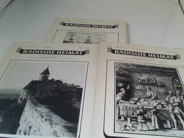 Badische Heimat - Mein Heimatland 61.Jahrgang 1981 Heft 1-3, Heft 4 Fehlt - Allemagne (général)