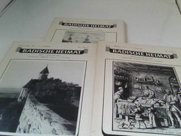 Badische Heimat - Mein Heimatland 61.Jahrgang 1981 Heft 1-3, Heft 4 Fehlt - Deutschland Gesamt