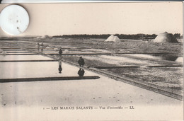 44  - 3 Très Belles Cartes Postales Anciennes De  LES MARAIS SALANTS  Vue D'ensemble , Transport Du Sel , Enlèvement Du - Guérande