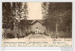 Julot1939 ..-- CARLSBOURG ..-- Les PEPINIERES à L'Ouest . 1904 Vers ARLON ( Mr Fernand ANTOINE ) . Verso . - Paliseul