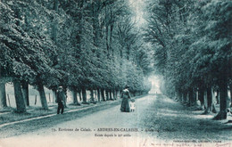 CPA   62   ARDRES-EN-CALAISIS---ALLEE DES TILLEULS---EXISTE DEPUIS LE XIe SIECLE - Ardres