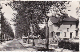 39 - TAVAUX-CITES (Jura) - RUE DE LA REPUBLIQUE - MAISONS DES INGENIEURS - 1952 - Tavaux