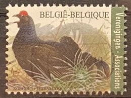 België Zegelnrs 4305 - Usados