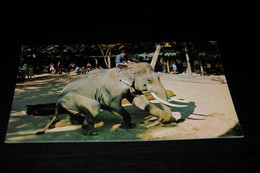 39342-                     THAILAND, THE ELEPHANT BOWING DOWN - Elefanten