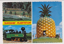 AK 030875 AUSTRALIA - Sunshine Plantation Near Nambour - Andere & Zonder Classificatie