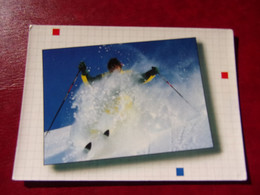 Ski En Suisse Carte écrite - Wintersport