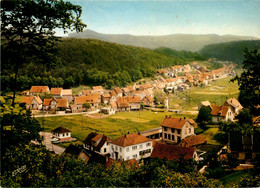 Reipertswiller * Vue Générale Du Village - Sonstige & Ohne Zuordnung