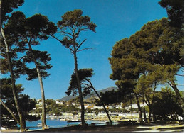 Carqueiranne - Les Pins Penchés ; Le Port Des Salettes - Carqueiranne