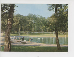 Le Havre : Forêt De Montgeon, Le Lac (cp N°146 Bouillioud) - Forêt De Montgeon