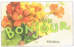 88  UN BONJOUR   DE POUXEUX   CPM  TBE   469 - Pouxeux Eloyes