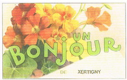 88  UN BONJOUR   DE XERTIGNY   CPM  TBE   470 - Xertigny