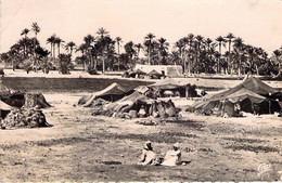 Scenes Et Types - Au Maroc - Campement De Nomades - Otros & Sin Clasificación