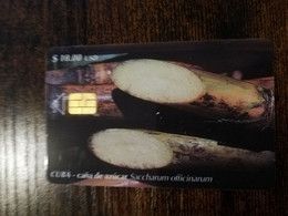 CUBA $10,00   CHIPCARD   CANA DE AZUCAR               Fine Used Card  ** 8700** - Kuba