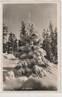 Weihnachten, Ihr Schmuck, 1932 - Andere & Zonder Classificatie