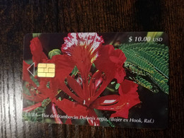 CUBA $10,00   CHIPCARD   FLOR DEL FRAMBOYAN DELONIX REGIA ( FLOWERS)            Fine Used Card  ** 8703** - Cuba