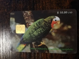 CUBA $10,00   CHIPCARD   COTORRA AMAZONA  PARROT/BIRD           Fine Used Card  ** 8705** - Cuba