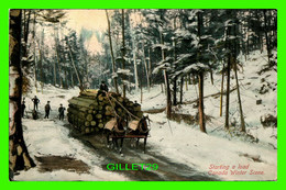 HAMILTON, ONTARIO - PEOPLES STARTING A LOAD OF WOODS - CANADA WINTER SCENE - TRAVEL IN 1910 - STEDMAN BROS - - Hamilton